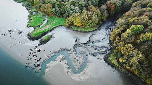 High angle view of river amidst trees