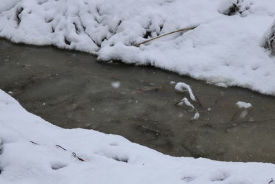 High angle view of birds on snow field