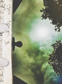Low angle view of trees against sky