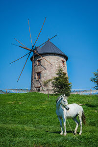 View of traditional windmill on field against sky