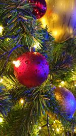 Close-up of christmas decorations hanging on tree