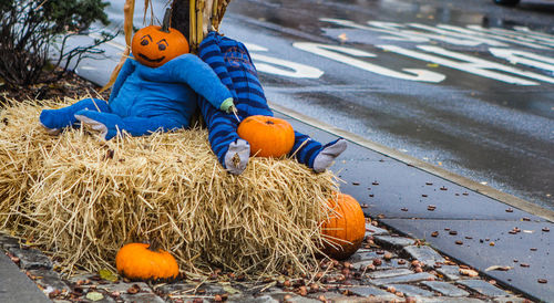 Boy with pumpkins in background