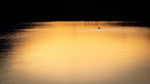 Scenic view of lake