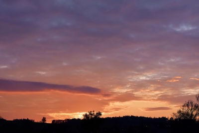 Silhouette trees against sky during sunset