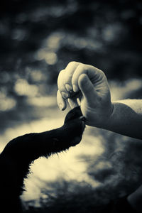Close-up of hand holding cigarette