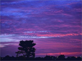 Silhouette trees against dramatic sky at sunset