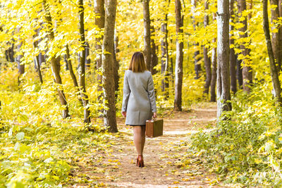 Rear view of woman standing in forest