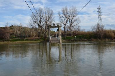 Reflection of bare trees in water