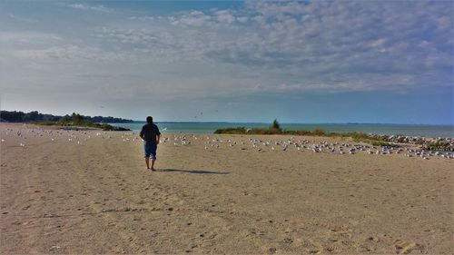 Rear view of men on beach against sky