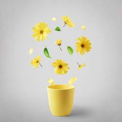 Yellow flower pot against white background