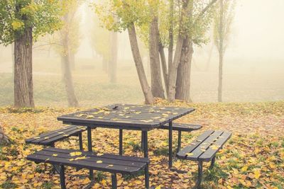 Empty bench in park