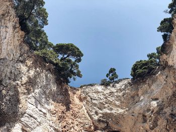 Low angle view of rock formation amidst trees against sky