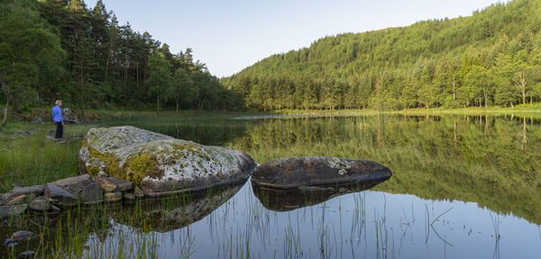 Reflection of trees in lake against sky