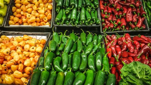 Close-up of vegetables for sale in market