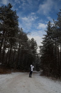 Rear view of man walking on road against trees