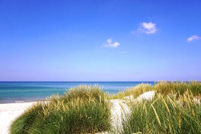 Scenic view of sea against blue sky