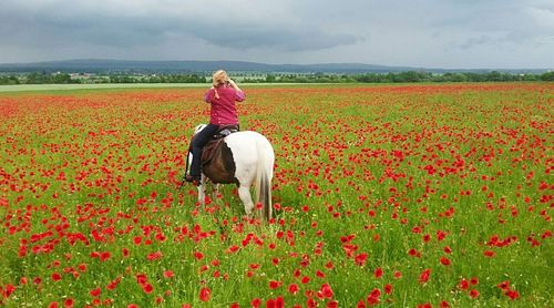 Rear view of woman riding horse on field against sky