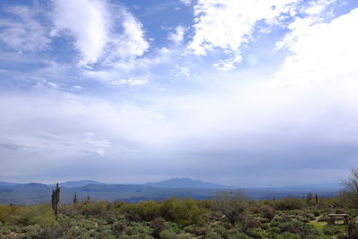 Scenic view of landscape against sky