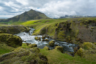 Wild river flows through green landscape in iceland.