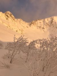 Scenic view of mountain against sky during winter