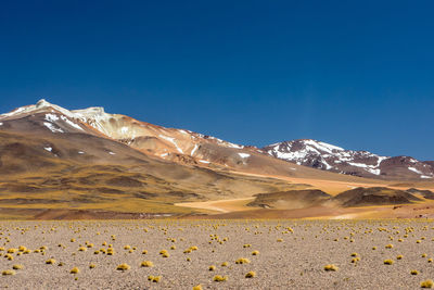 Scenic view of snowcapped mountains against clear blue sky