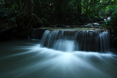 Scenic view of waterfall in forest