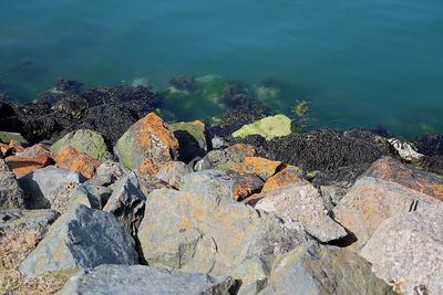 High angle view of rocks on beach