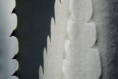 Full frame shot of weathered wall