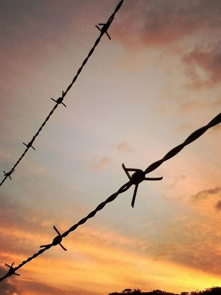 silhouette, sky, low angle view, sunset, flying, bird, cloud - sky, barbed wire, airplane, fuel and power generation, cloud, orange color, outdoors, safety, animal themes, nature, cloudy, dusk, no people, animals in the wild