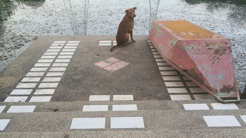 High angle view of woman on footpath