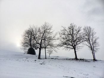 Bare trees on snow covered field against sky