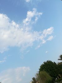 Low angle view of tree against sky