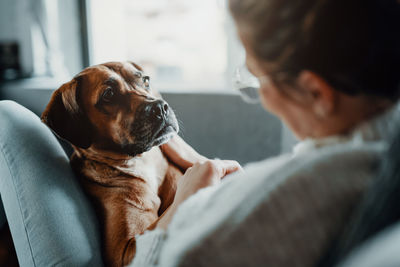 Dog relaxing at home