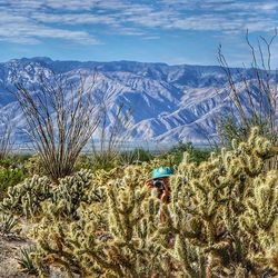 Plants growing on landscape against sky