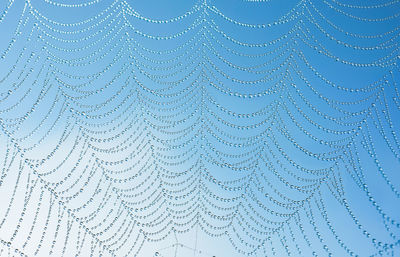 Close-up of spider web