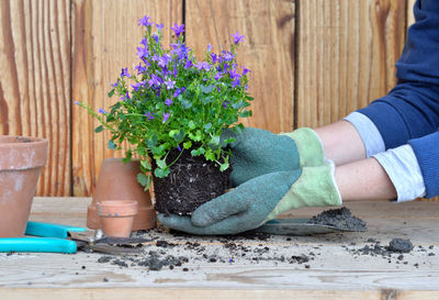 Cropped hands of florist gardening on table