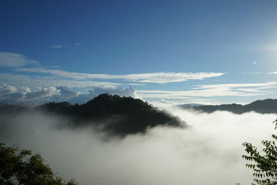 Low angle view of trees against sky