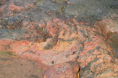 High angle view of water on rock