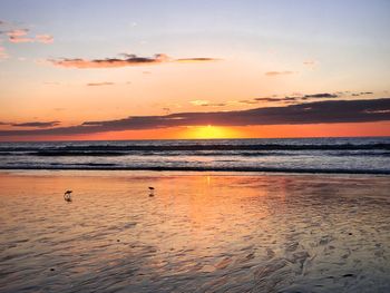 Scenic view of beach during sunset