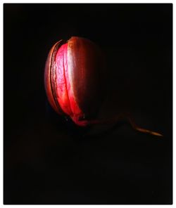 Close-up of strawberry over black background