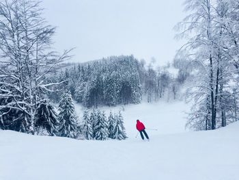 Rear view of person skiing on snow