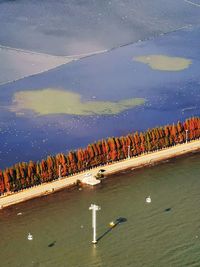 High angle view of birds on sea shore