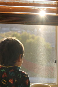 Rear view of boy looking through window