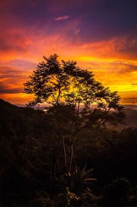 Silhouette trees on landscape against romantic sky at sunset