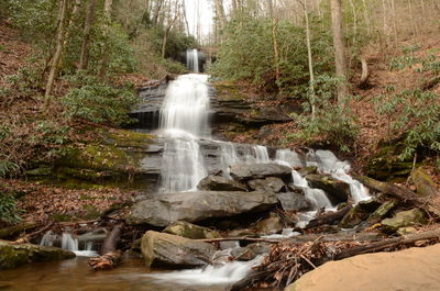 Waterfall in forest