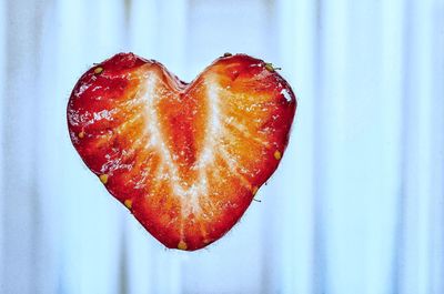 Close-up of heart shape leaf