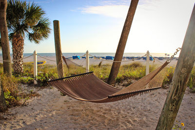 Panoramic shot of palm trees on beach against sky