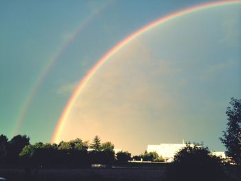 Rainbow over trees against sky