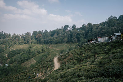 Scenic view of landscape against sky