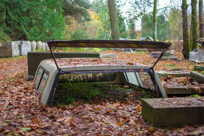 Empty bench in park during autumn